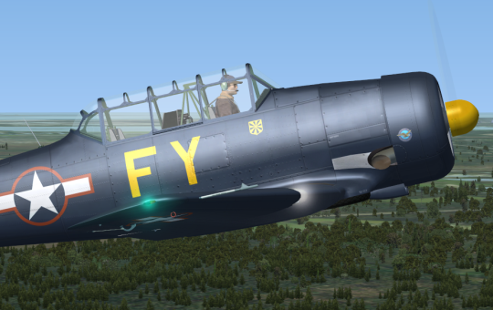 N13FY in FSX van Marcel Ritzema