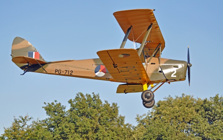 Tiger Moth