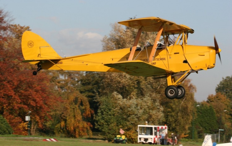 Tiger Moth